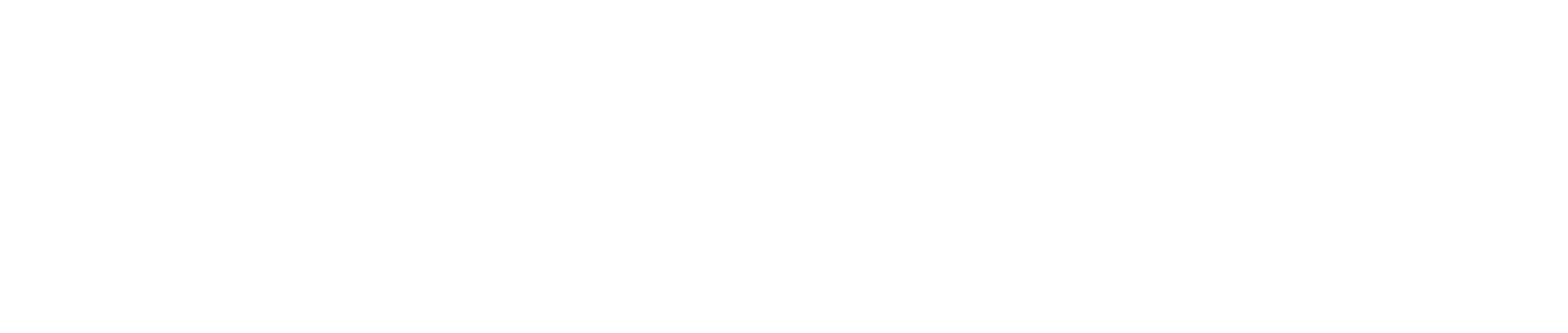 Fleks